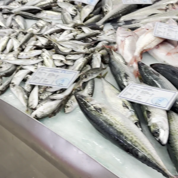 Poissons de l'Atlantique au marché d'Olhão