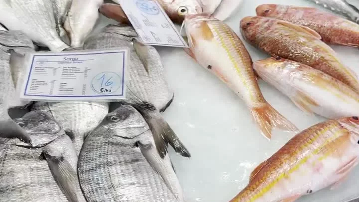 Daurades et rougets frais sur l'étal du marché d'Olhão, en Algarve