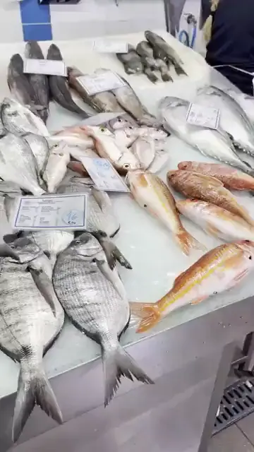 Daurades et poissons frais sur l'étal de la criée de Quarteira